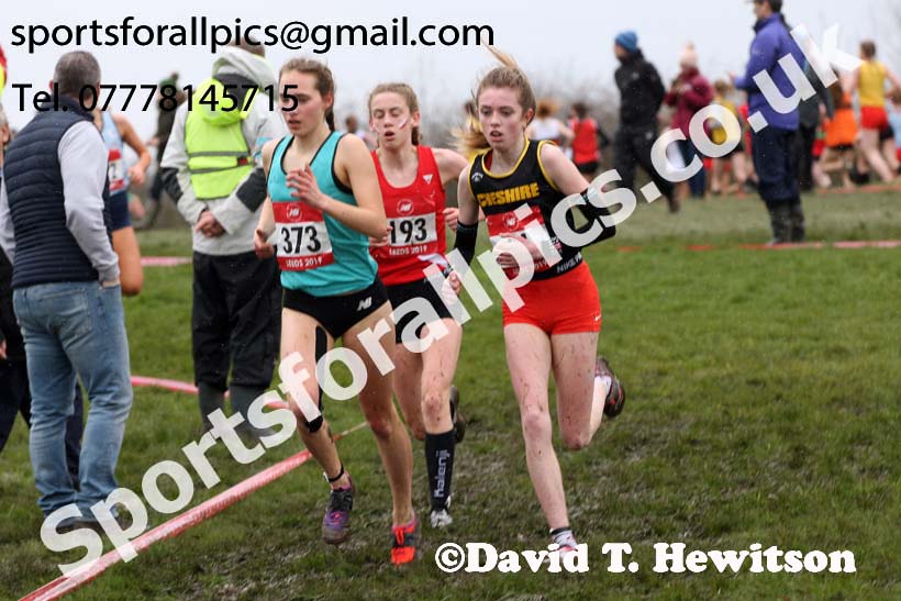 Intermediate girls 2019 New Balance English Schools Cross Country Champs, Temple Newsam, Leeds. Photo:  David T. Hewitson/Sports for All Pics